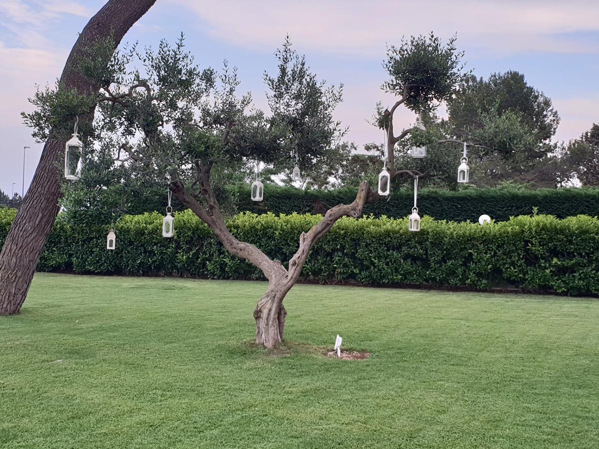 Villa Natia موتولا المظهر الخارجي الصورة