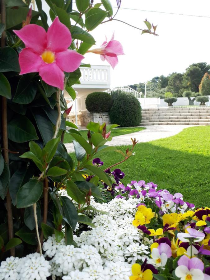 Villa Natia موتولا المظهر الخارجي الصورة