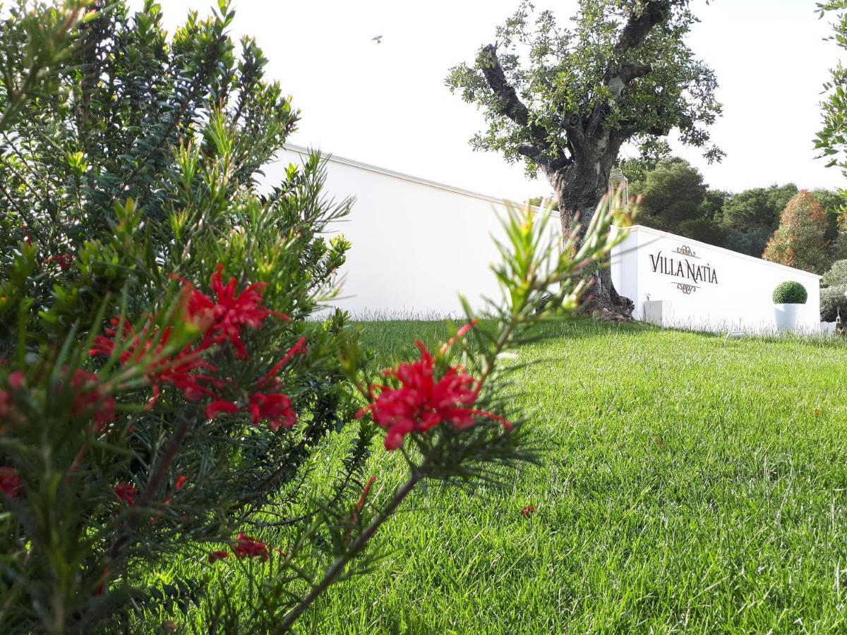 Villa Natia موتولا المظهر الخارجي الصورة